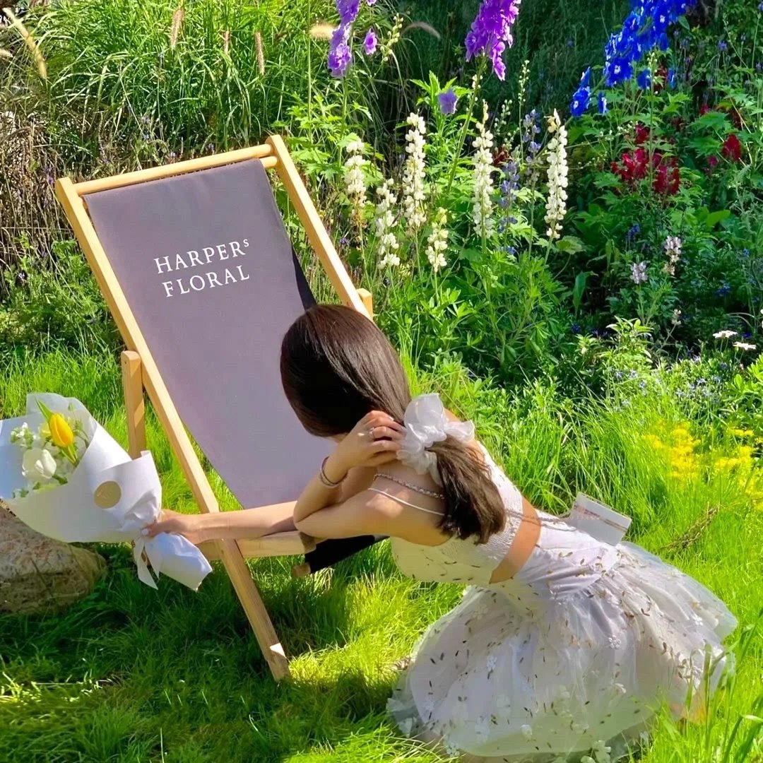 闪婚妻子是世界首富